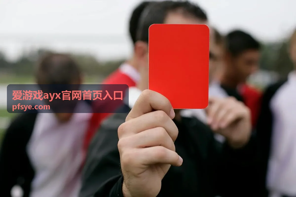 爱游戏ayx官网首页入口三种账号登录方式示意
