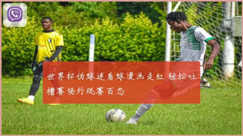 世界杯伪球迷看球漫画走红 轻松吐槽赛场外观赛百态